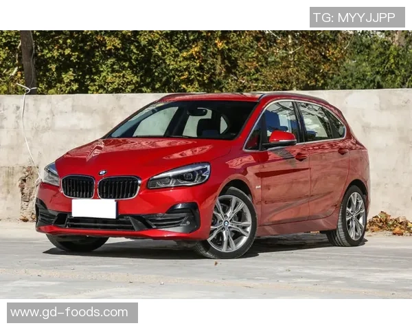 足球明星们的豪华座驾揭秘卡宴车主名单大曝光